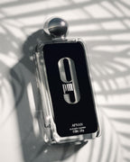 Afnan 9 PM (100ml)